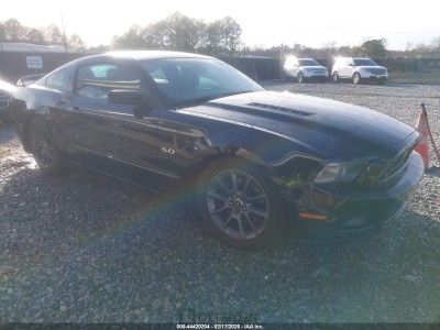 Ford Mustang 2013 VIN 1ZVBP8CF0D5276512