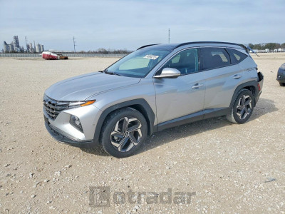 Hyundai Tucson 2024 5NMJE3DE6RH411980