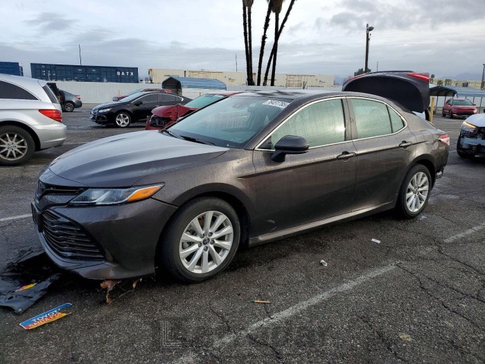 Toyota Camry 2019 VIN 4T1B11HKXKU191189