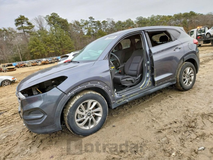 Hyundai Tucson 2017 VIN KM8J23A40HU594493
