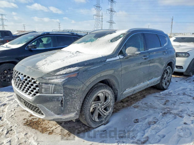 Hyundai Santa fe 2023 5NMS3DAJ4PH563772
