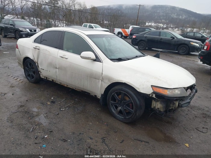 Acura Tsx 2007 VIN JH4CL96857C012772
