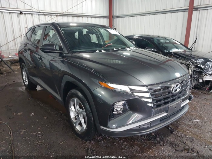 Hyundai Tucson 2024 VIN 5NMJACDE7RH356435