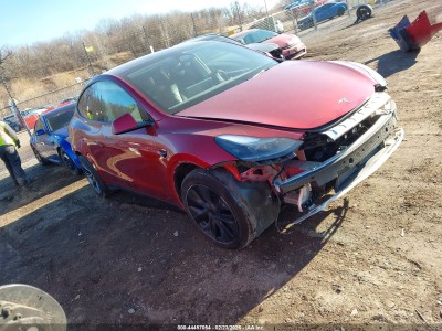 Tesla Model y 2024 VIN 7SAYGDEE8RF155861