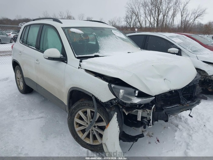 Volkswagen Tiguan 2017 VIN WVGBV7AXXHK052519
