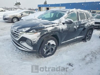 Hyundai Tucson 2024 KM8JCCD17RU234069