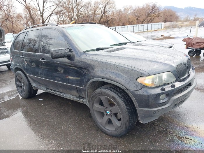 BMW X5 2005 VIN 5UXFB535X5LV16508