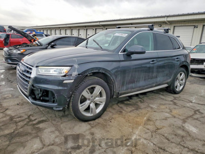 Audi Q5 2019 WA1ANAFY1K2044535