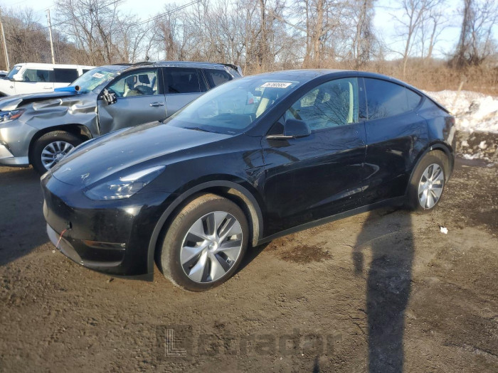 Tesla Model y 2024 VIN 7SAYGDEE8RF984770