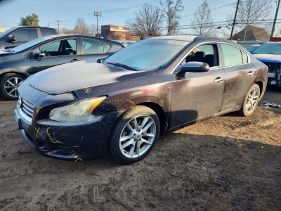 Nissan Maxima 2013 VIN 1N4AA5APXDC815780