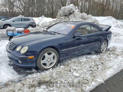 Mercedes-benz Cl-class 2002 VIN WDBPJ75J32A031194