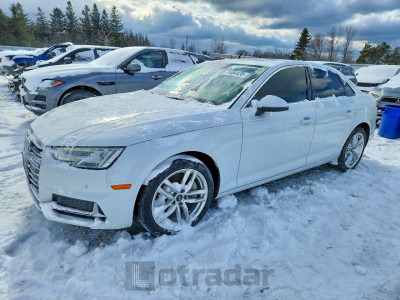 Audi A4 2019 WAUCNAF44KA007896