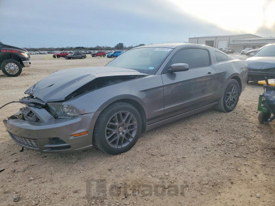 Ford Mustang 2013 1ZVBP8AM7D5260051