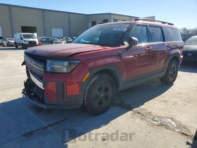 Hyundai Santa fe 2024 5NMP3DGL5RH044313