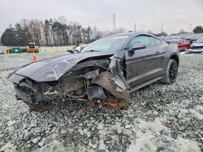 Ford Mustang 2019 VIN 1FA6P8TH8K5203770