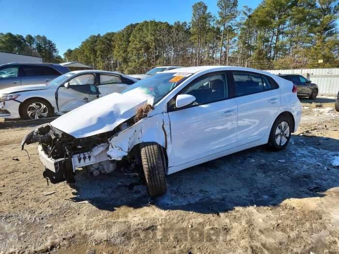 Hyundai Ioniq 2019 VIN KMHC65LC7KU144778