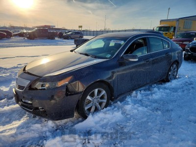 Acura Tl 2012 19UUA8F22CA040151