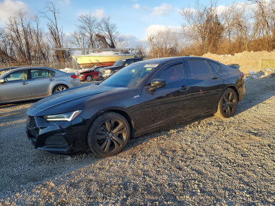 Acura Tlx 2021 19UUB5F50MA008340