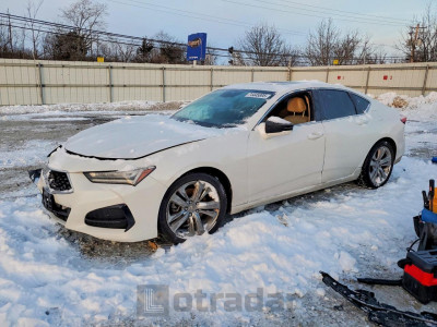 Acura Tlx 2021 19UUB5F4XMA012841