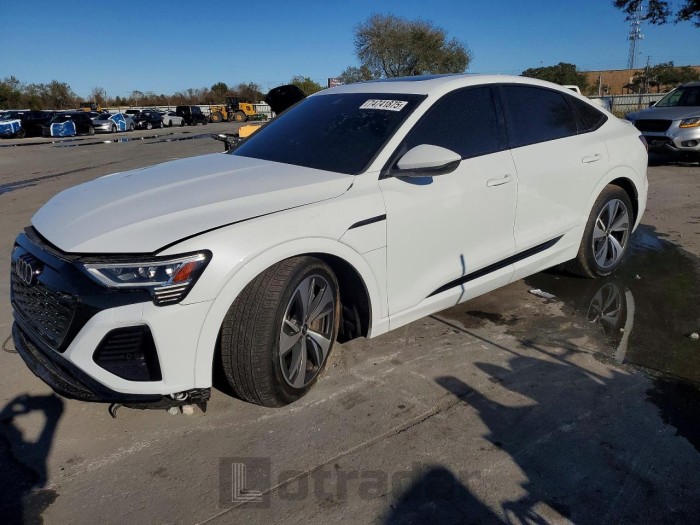 Audi Q8 2024 VIN WA1BAAGE0RB022184