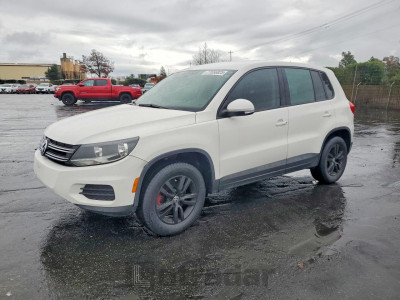 Volkswagen Tiguan 2013 WVGAV3AX3DW576196