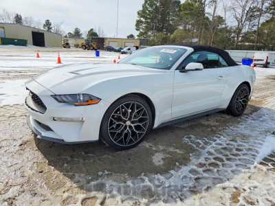 Ford Mustang 2019 1FATP8UH5K5138720