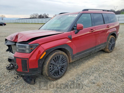 Hyundai Santa fe 2025 5NMP5DG10SH040619