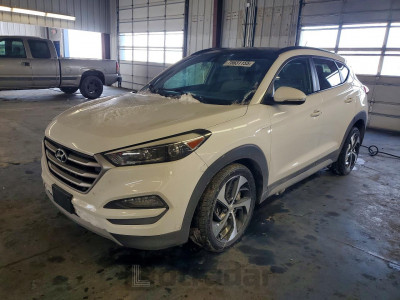 Hyundai Tucson 2017 KM8J3CA29HU567563
