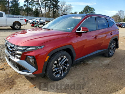 Hyundai Tucson 2025 5NMJE3DE5SH443566