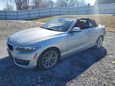 BMW 2 series 2016 WBA1L9C51GV324771
