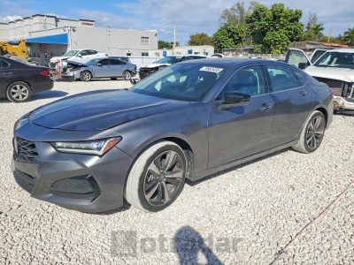 Acura Tlx 2024 VIN 19UUB5F4XRA000163
