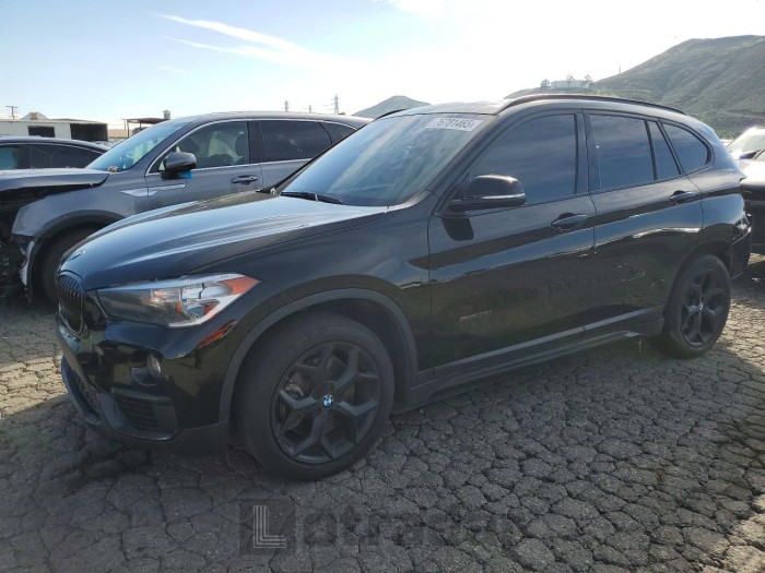 BMW X1 2018 VIN WBXHU7C39J5H42462