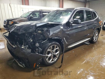 BMW X3 2024 VIN 5UX53DP06R9U80336