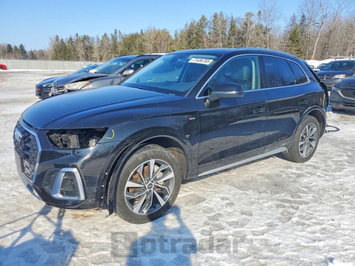 Audi Q5 2023 VIN WA1EAAFY9P2098461