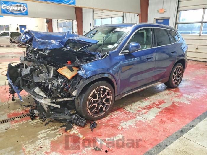 BMW X1 2025 VIN WBX73EF02S5087029