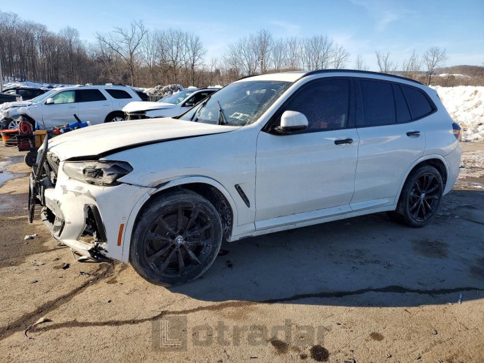 BMW X3 2023 VIN 5UX53DP08P9S88753