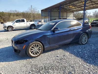 BMW 2 series 2015 VIN WBA1F9C58FV544141