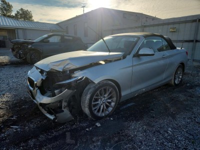 BMW 2 series 2016 WBA1L9C54GV767271