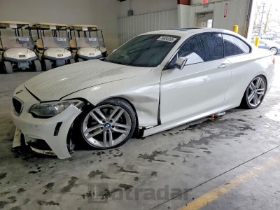 BMW 2 series 2016 WBA1F9C53GV742708