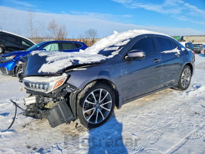 Acura Tlx 2019 19UUB3F31KA802408