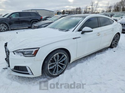 Audi S5 2019 VIN WAUB4CF53KA091213