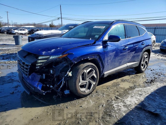 Hyundai Tucson 2023 VIN 5NMJECAE3PH166895