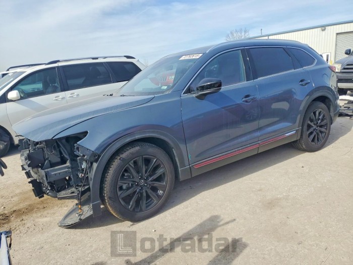 Mazda Cx-9 2021 VIN JM3TCBDY5M0520529