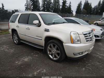 Cadillac Escalade 2009 VIN 1GYFK43519R189358