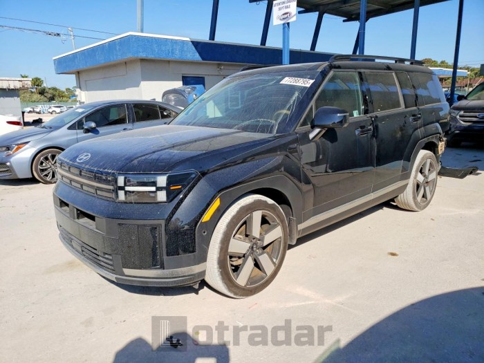 Hyundai Santa fe 2024 VIN 5NMP44GL2RH042631