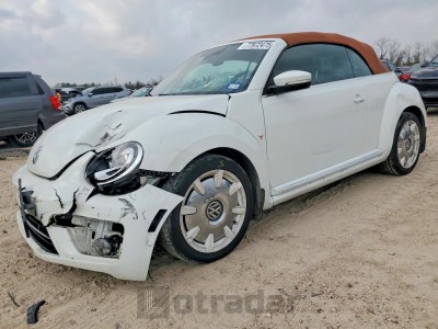 Volkswagen Beetle 2019 VIN 3VW5DAAT5KM509135