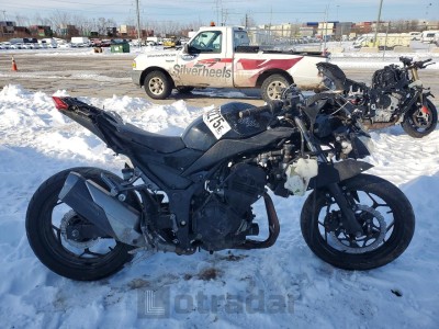 Kawasaki Ex300 2013 JKAEX8A15DDA09330