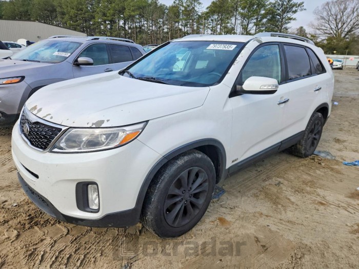 Kia Sorento 2014 VIN 5XYKUDA78EG525650