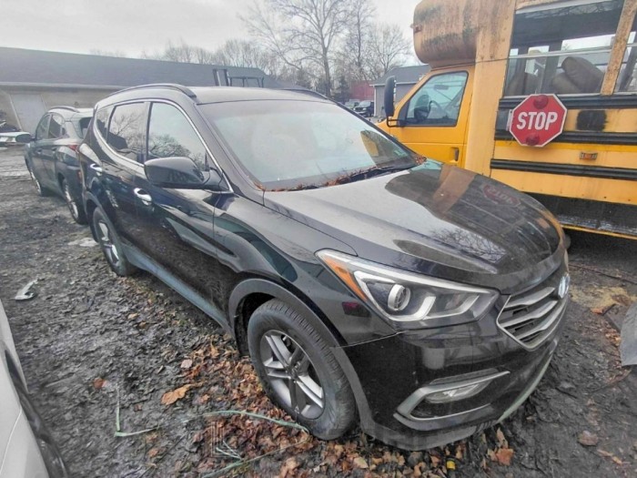 Hyundai Santa fe 2017 VIN 5NMZUDLB9HH007041