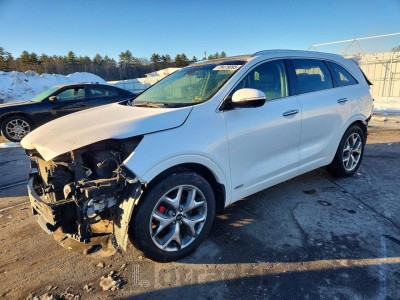 Kia Sorento 2019 5XYPKDA58KG456982